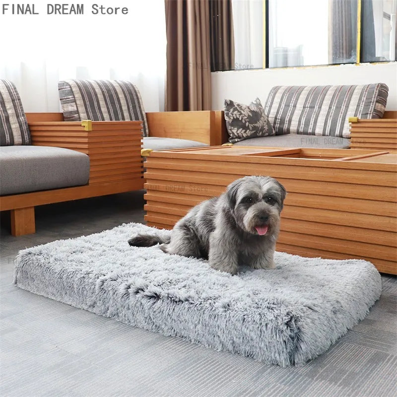 🗑️ SRC-ALIEXPRESS