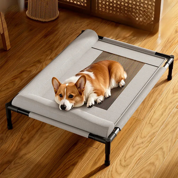 Lit Surélevé Pour Grand Chien