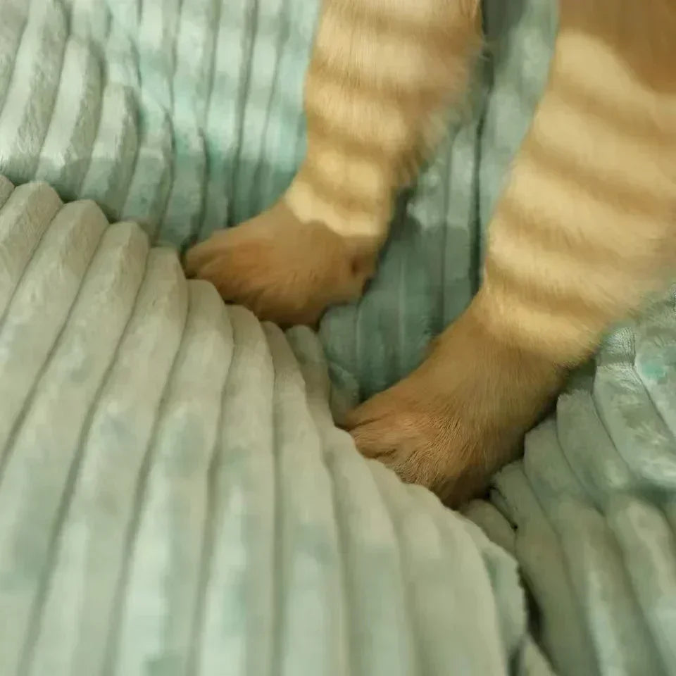 Coussin Pour Chien Xxl