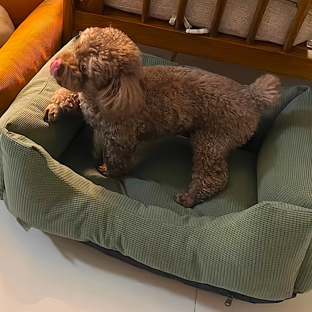 Housse De Coussin Pour Chien