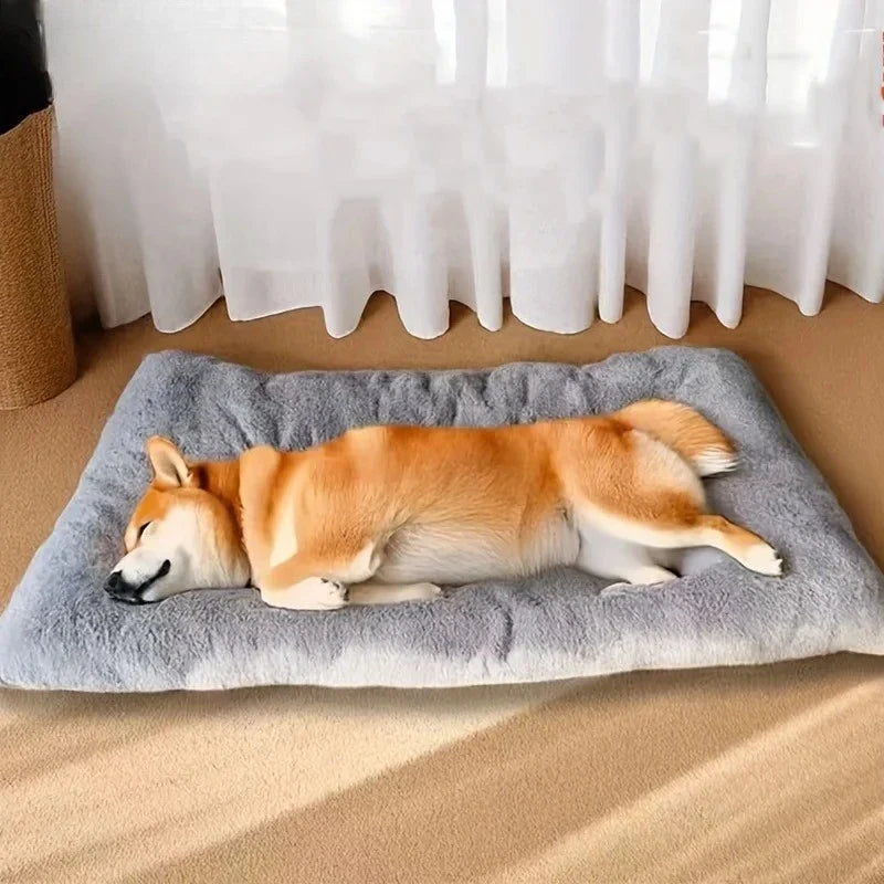 [ANCIEN] supprimer — Lit Orthopédique Pour Chien