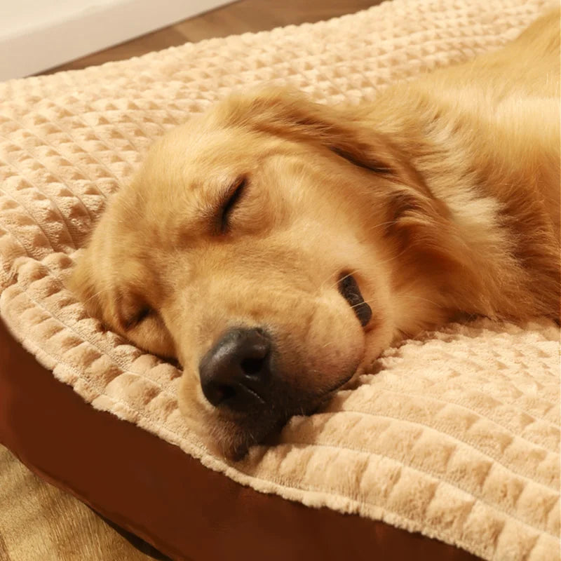 Lit Pour Chien Lavable