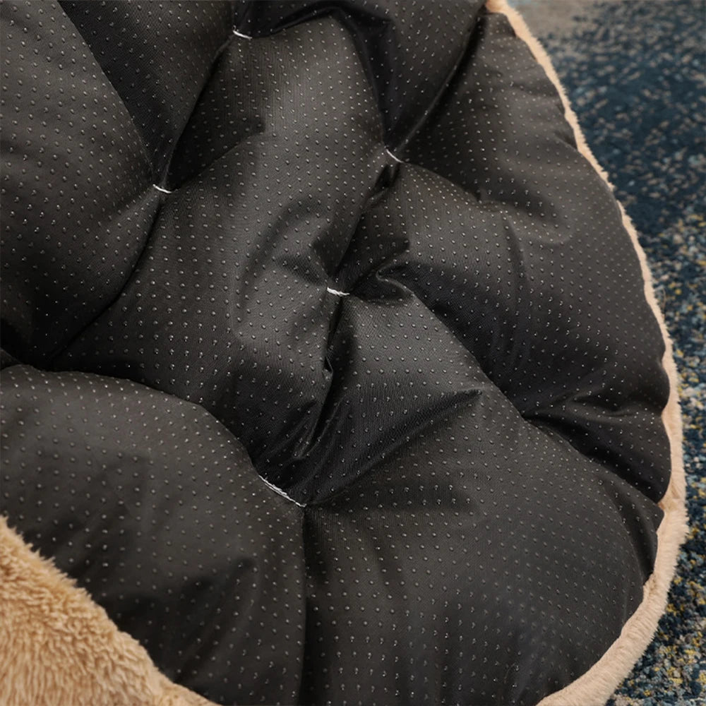 Coussin Pour Chien Golden Retriever