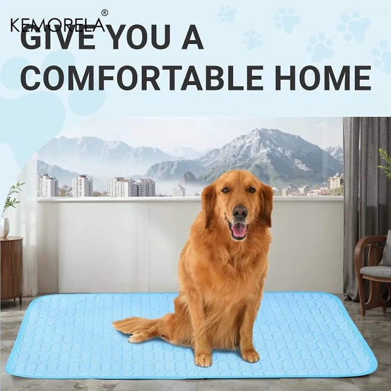 🗑️ SRC-ALIEXPRESS