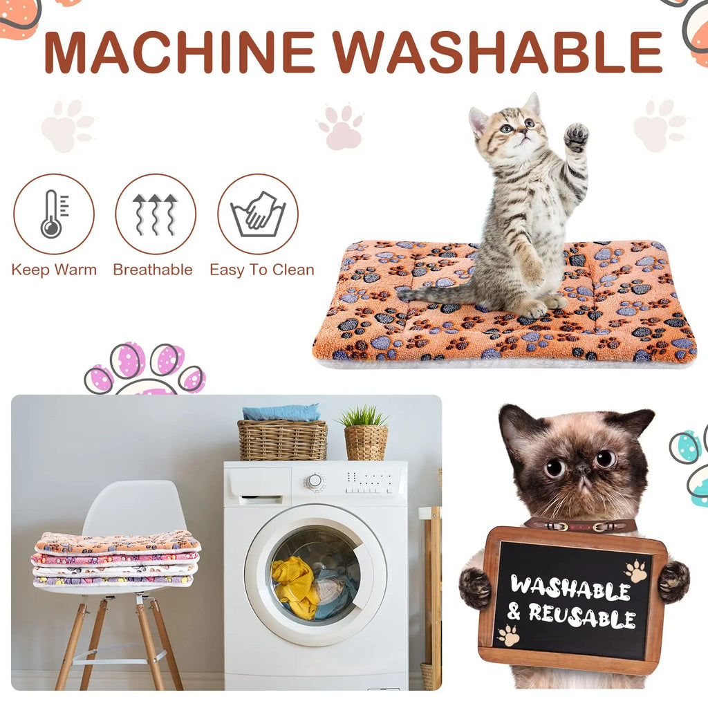 🗑️ SRC-ALIEXPRESS