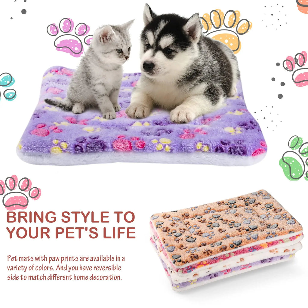 🗑️ SRC-ALIEXPRESS