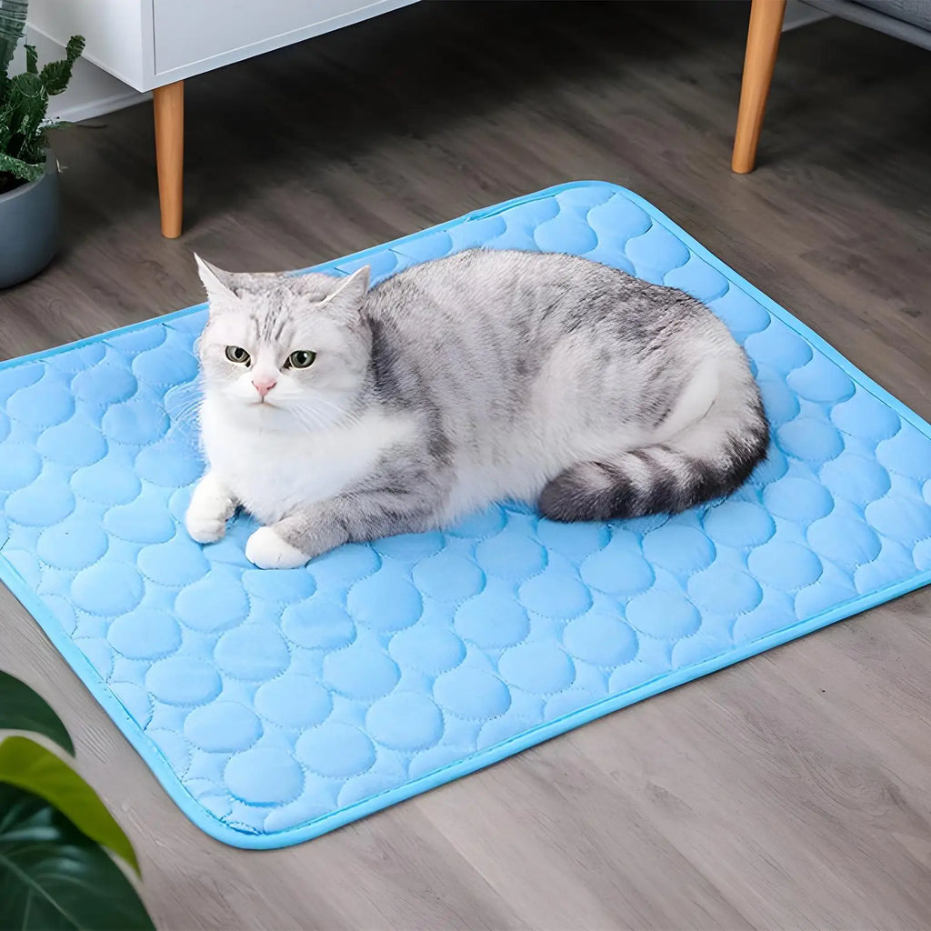 🗑️ SRC-ALIEXPRESS