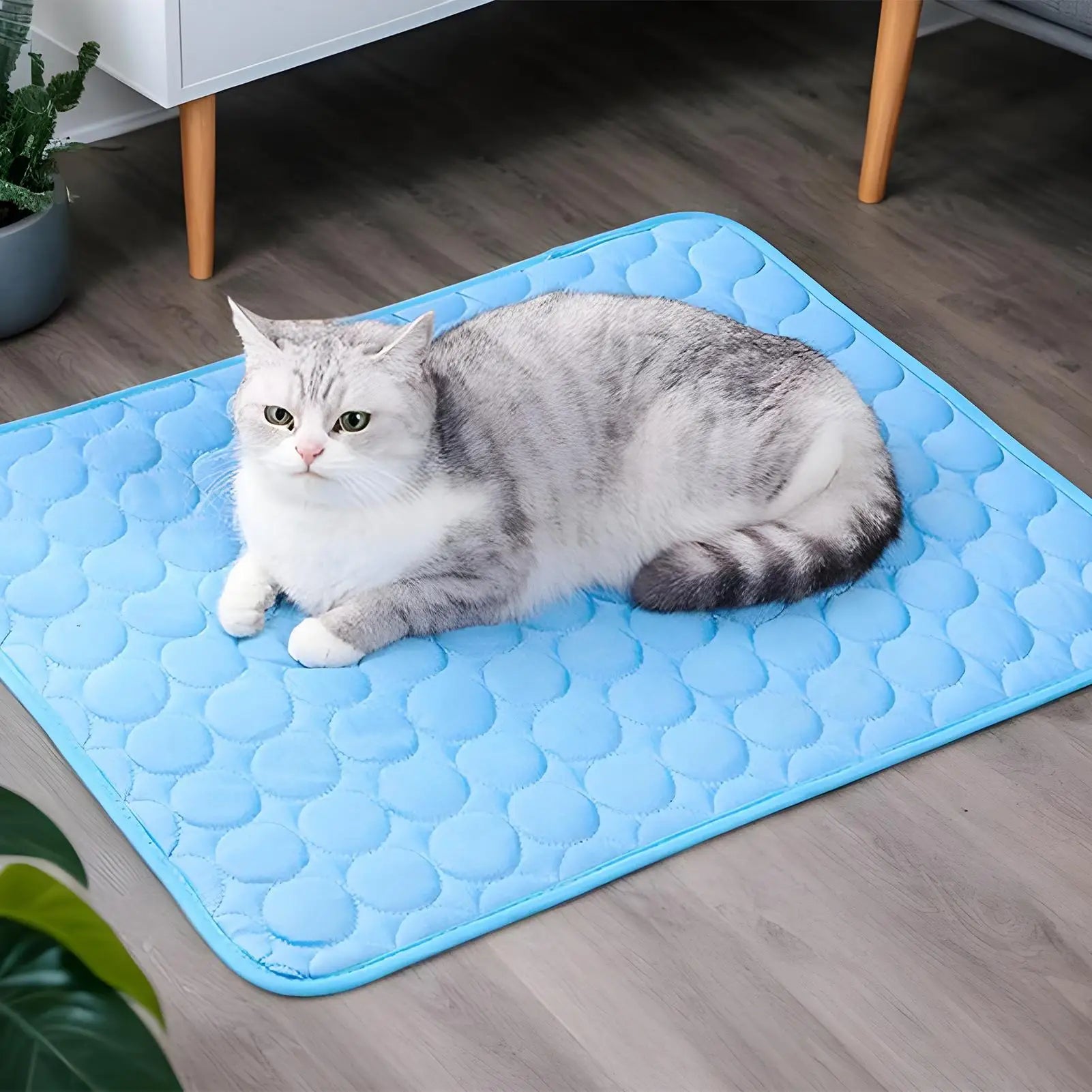 🗑️ SRC-ALIEXPRESS