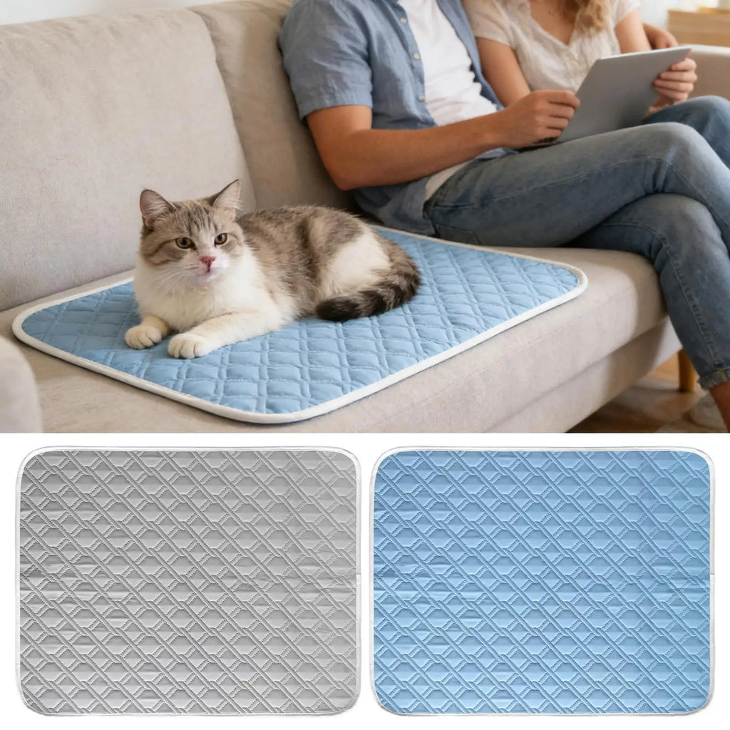 🗑️ SRC-ALIEXPRESS
