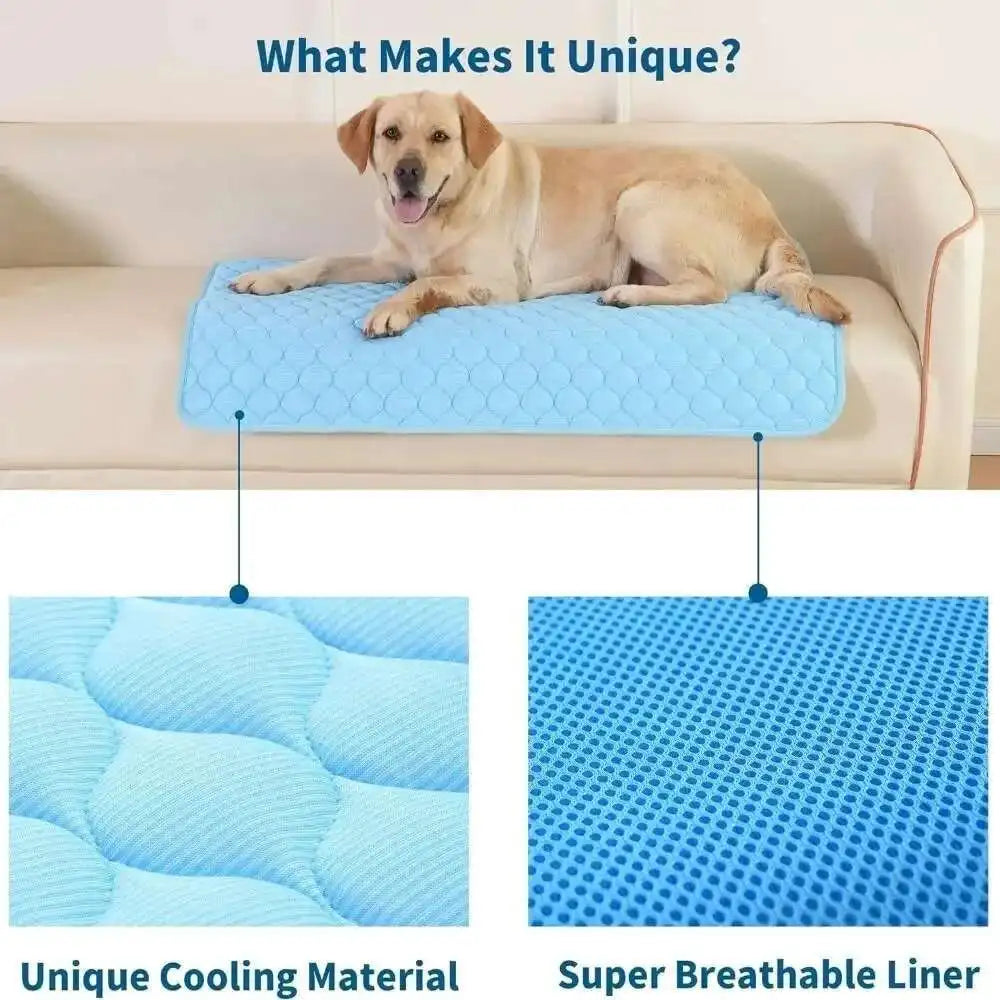 🗑️ SRC-ALIEXPRESS