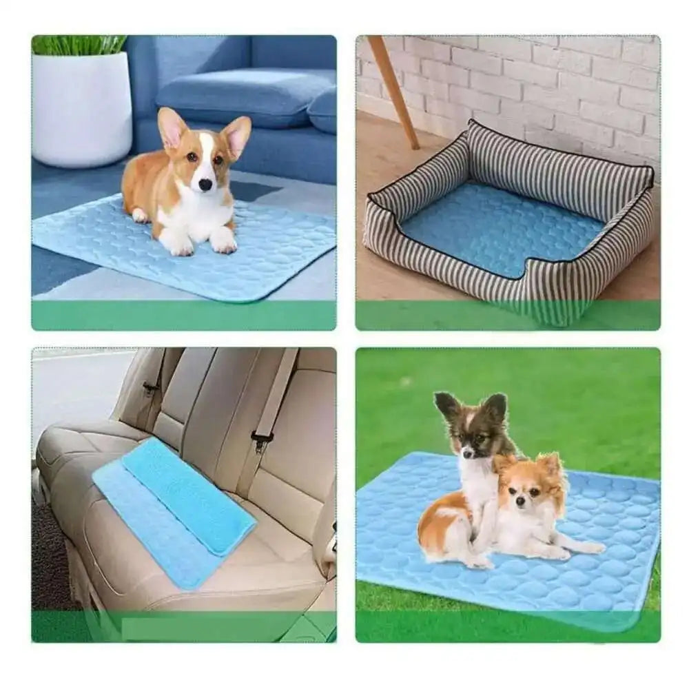 🗑️ SRC-ALIEXPRESS