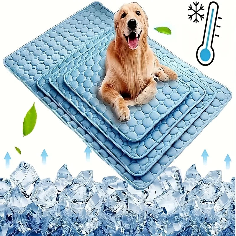 🗑️ SRC-ALIEXPRESS