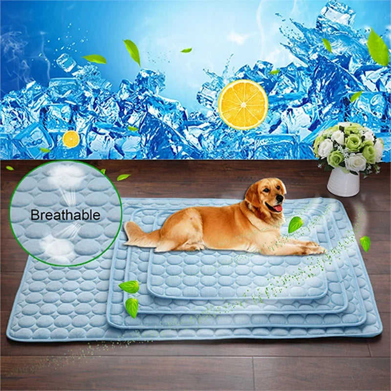 🗑️ SRC-ALIEXPRESS