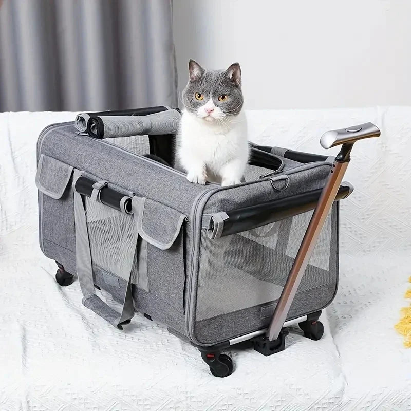 🗑️ SRC-ALIEXPRESS