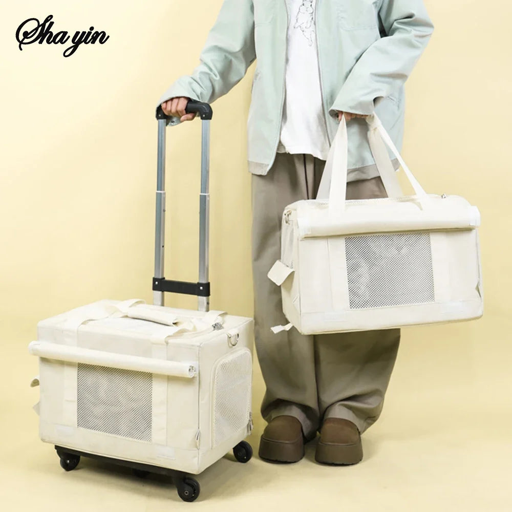 🗑️ SRC-ALIEXPRESS