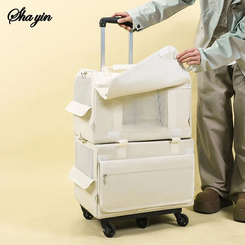 🗑️ SRC-ALIEXPRESS