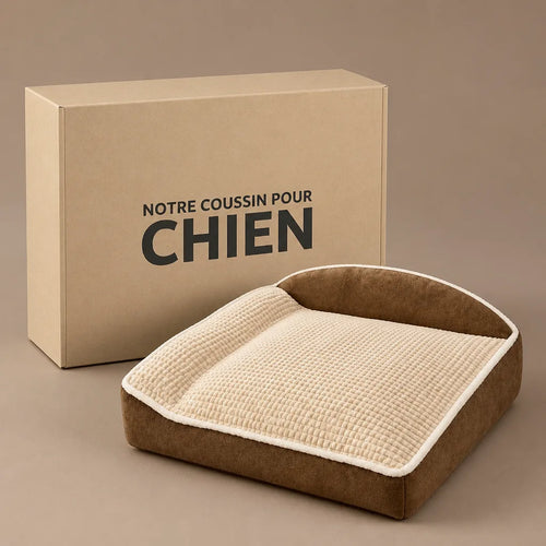 acheter-coussin-pour-chien