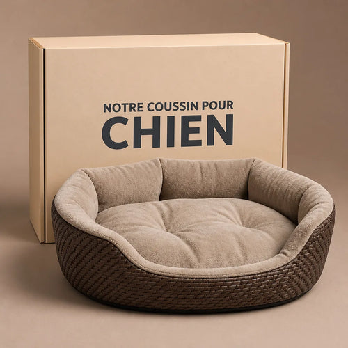 beau-panier-pour-chien