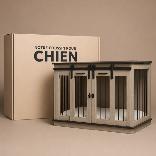 caisse-de-transport-2-chiens