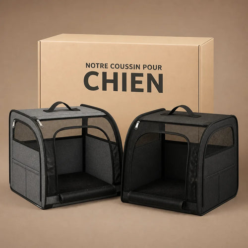 caisse-de-transport-chien-banquette-arriere
