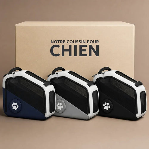 caisse-de-transport-chien-beagle