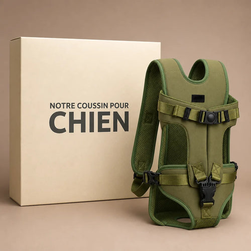 caisse-de-transport-chien-bouledogue