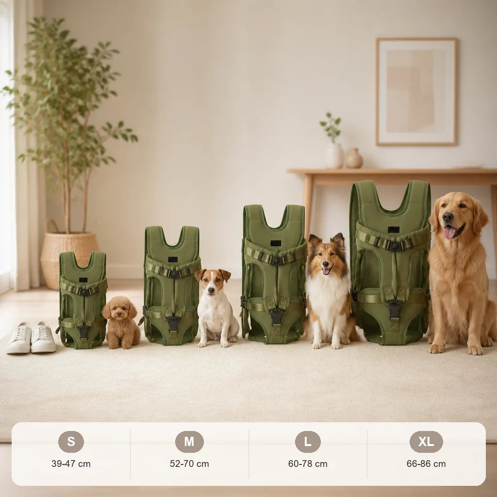 [ANCIEN] supprimer — caisse-de-transport-chien-bouledogue