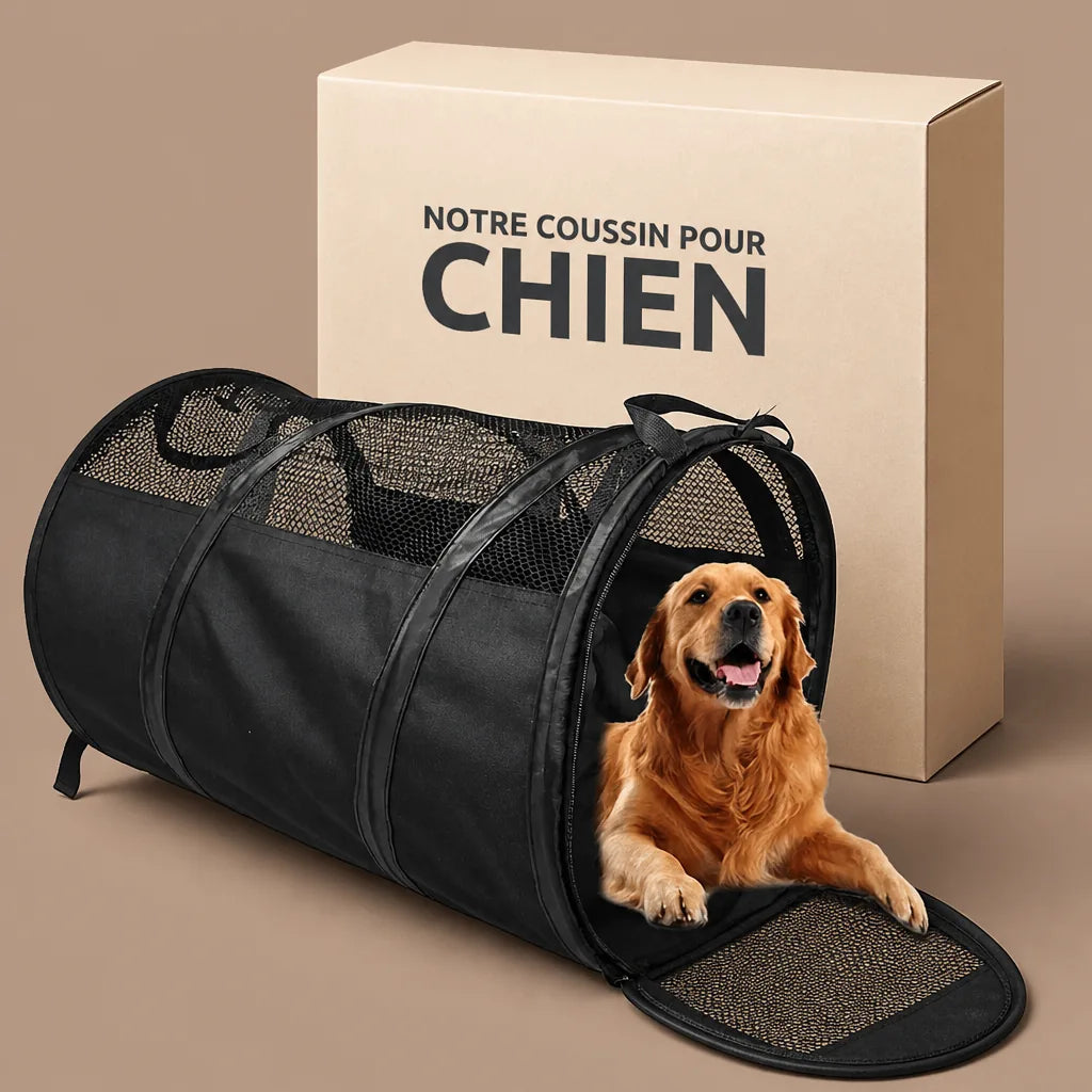 caisse-de-transport-chien-ceinture-de-securite