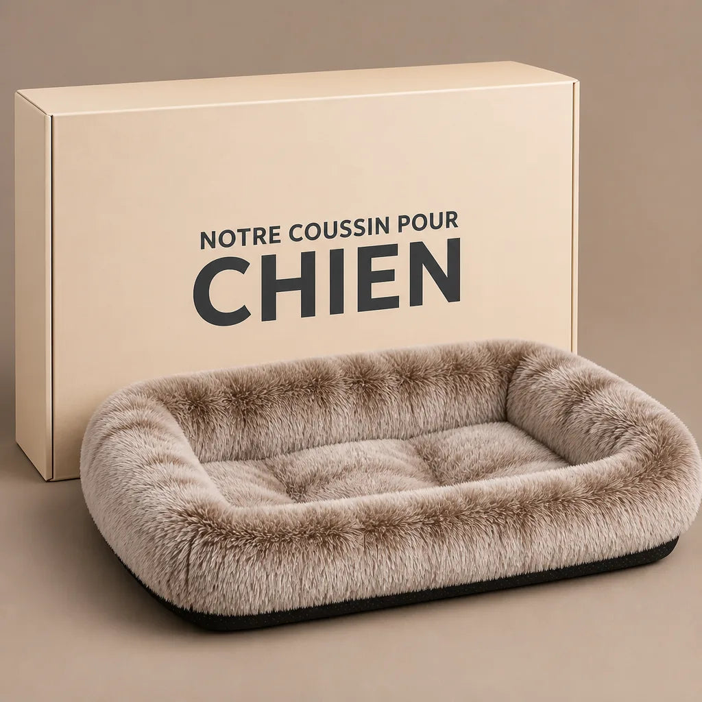caisse-de-transport-chien-en-fer