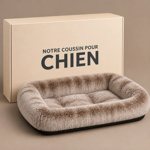 caisse-de-transport-chien-en-fer
