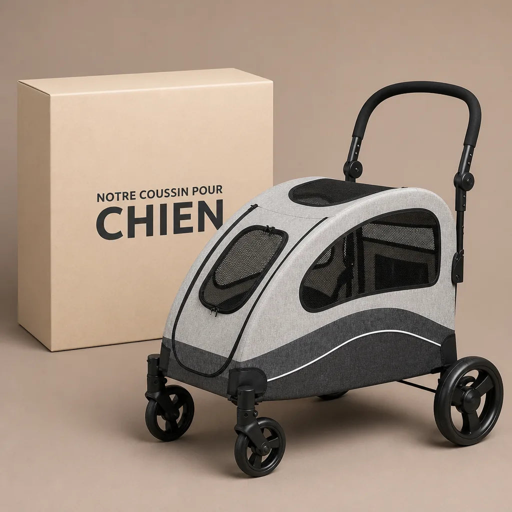 caisse-de-transport-chien-jack-russel