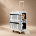Caisse De Transport Chien Moyen