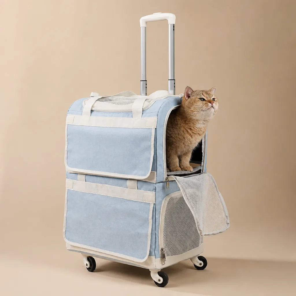 Caisse De Transport Chien Moyen