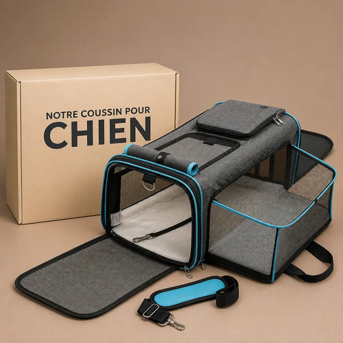 caisse-de-transport-chien-pliable
