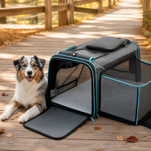 caisse-de-transport-chien-pliable