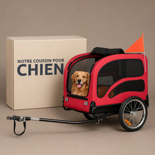 caisse-de-transport-chien-velo