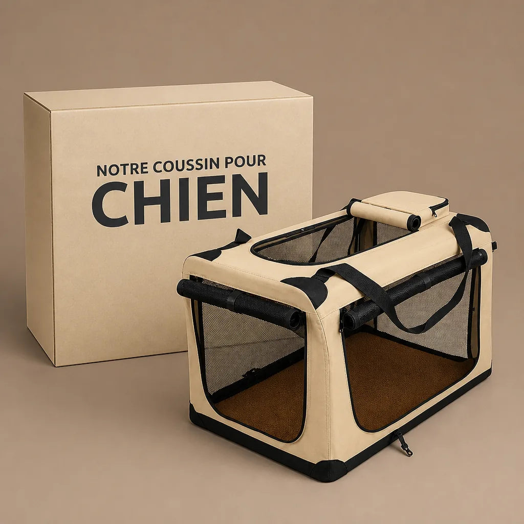 caisse-de-transport-chien-voiture
