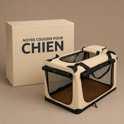 caisse-de-transport-chien-voiture