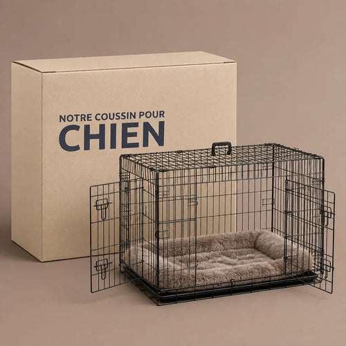 caisse-de-transport-grand-chien