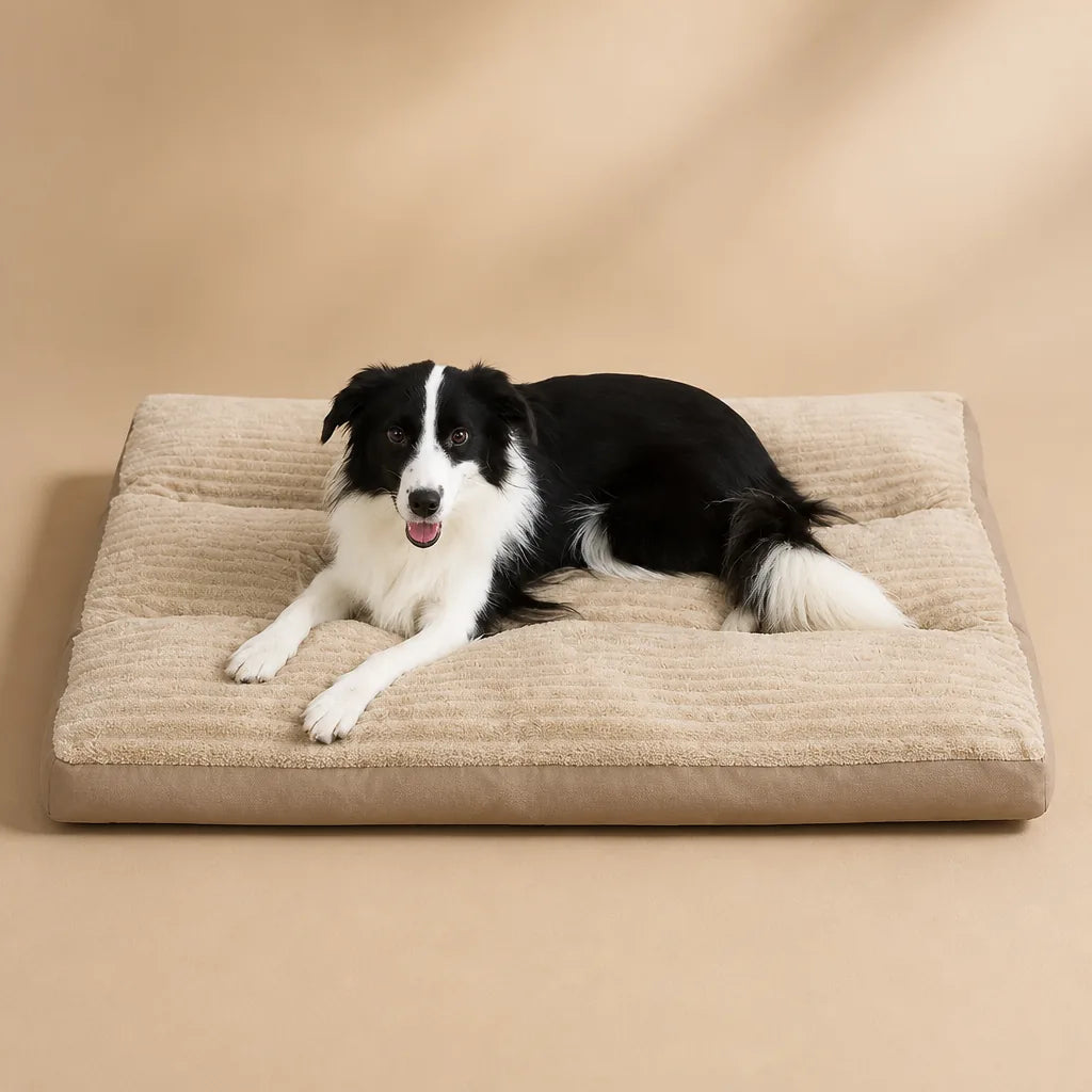 Canapé Lit Nordique Pour Chien
