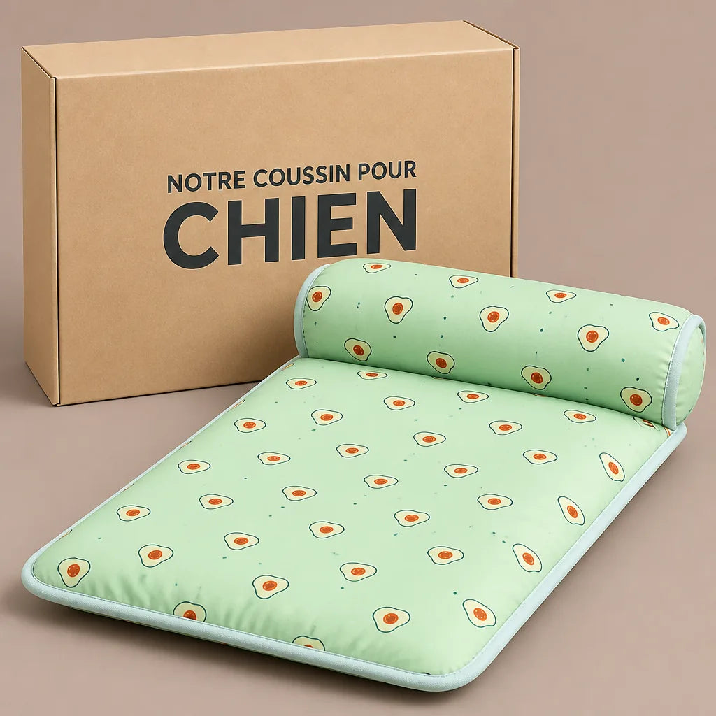 canape-lit-pour-chien-avec-oreiller