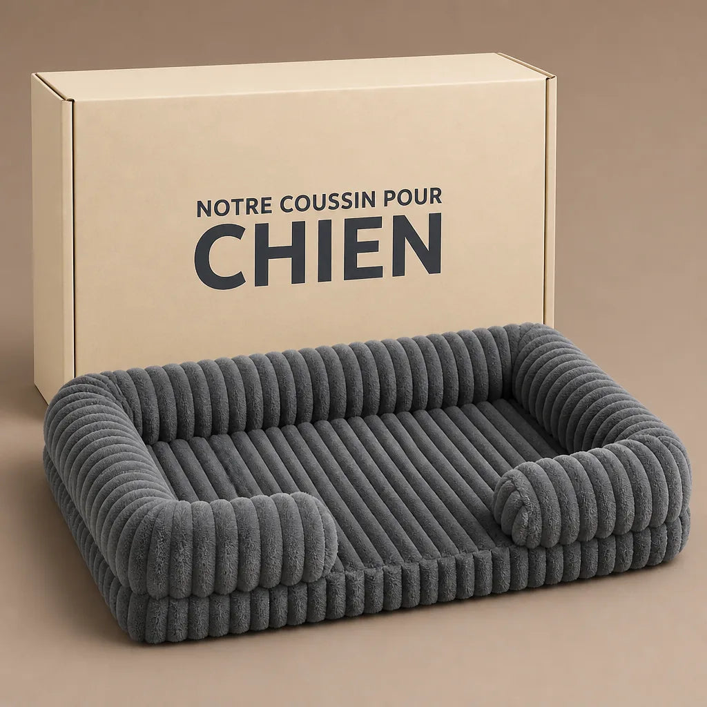 canape-lit-pour-chien-xl