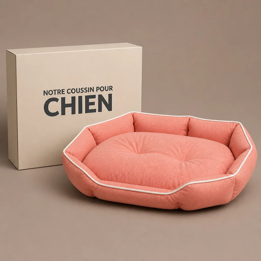 canape-lit-pour-chien