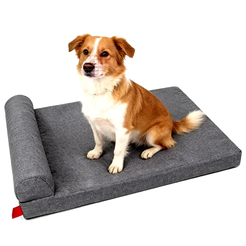 coussin-a-memoire-de-forme-pour-chien