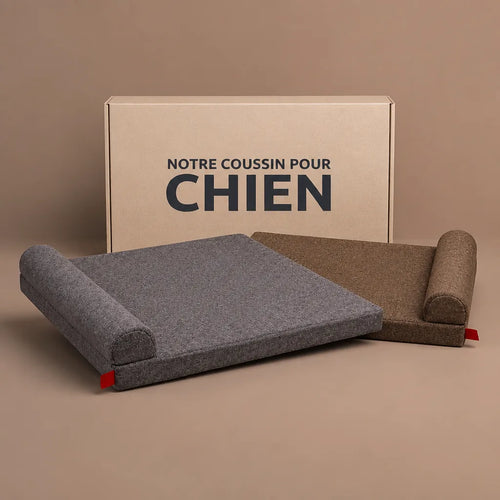 coussin-a-memoire-de-forme-pour-chien