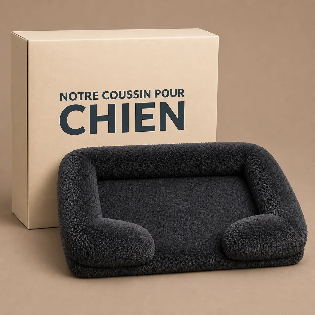 coussin-antiderapant-pour-chien