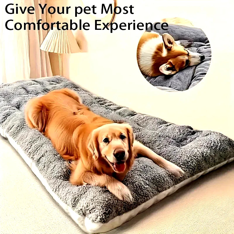 coussin-bio-pour-chien