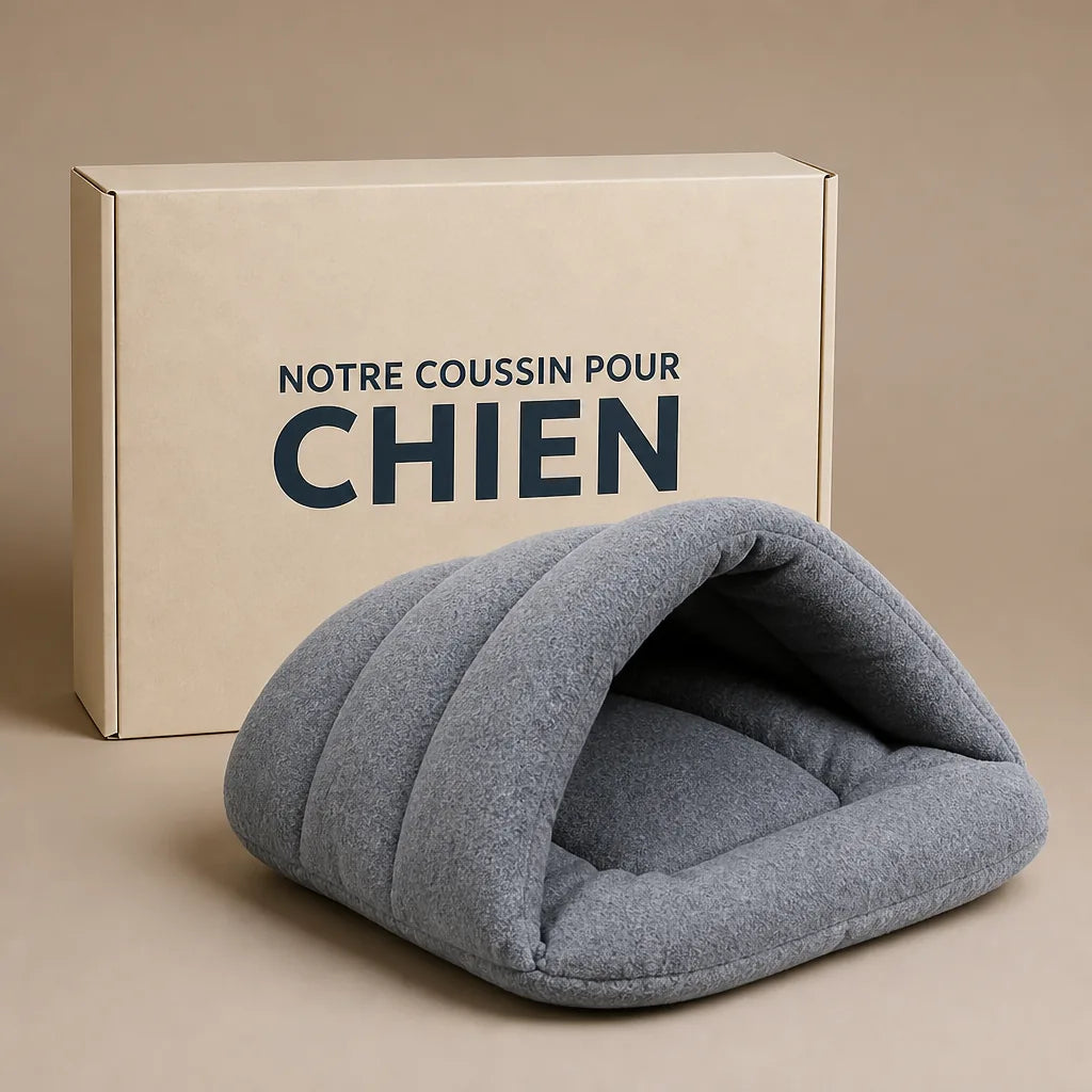 coussin-chausson-pour-chien