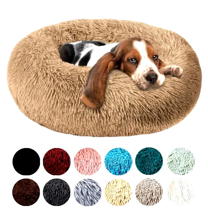 coussin-de-sol-pour-chien