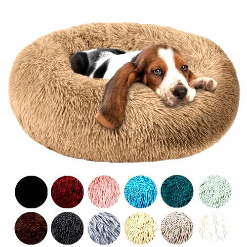 coussin-de-sol-pour-chien